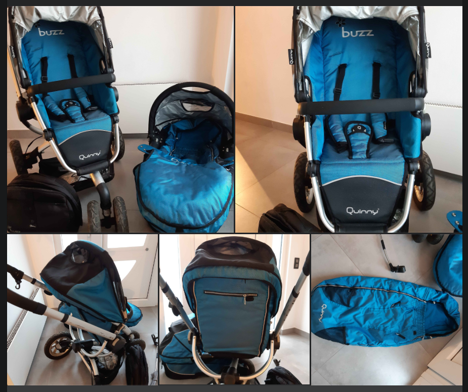 sac quinny buzz