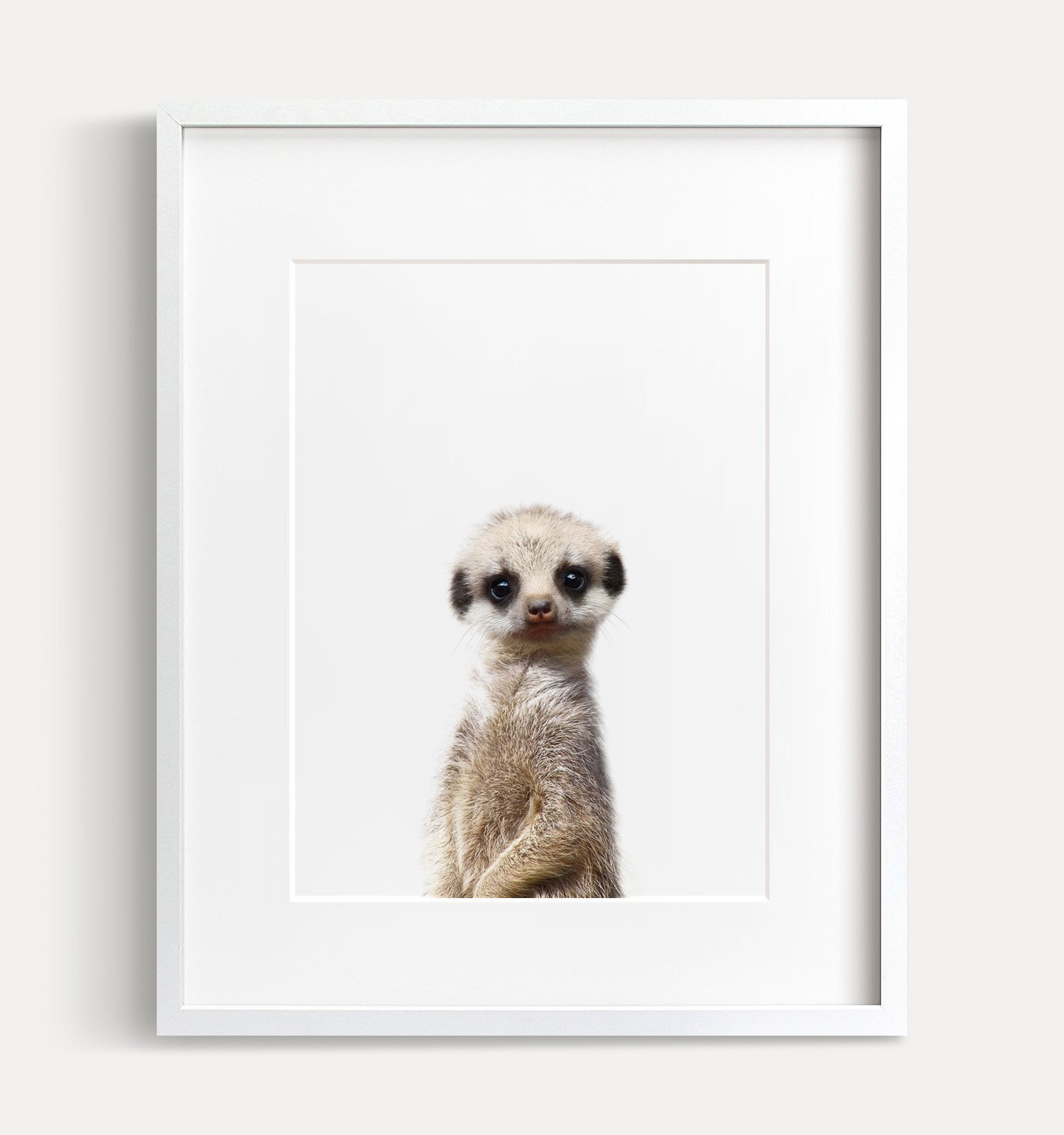 Cadre Bebe Animaux Crownprints Kadolog