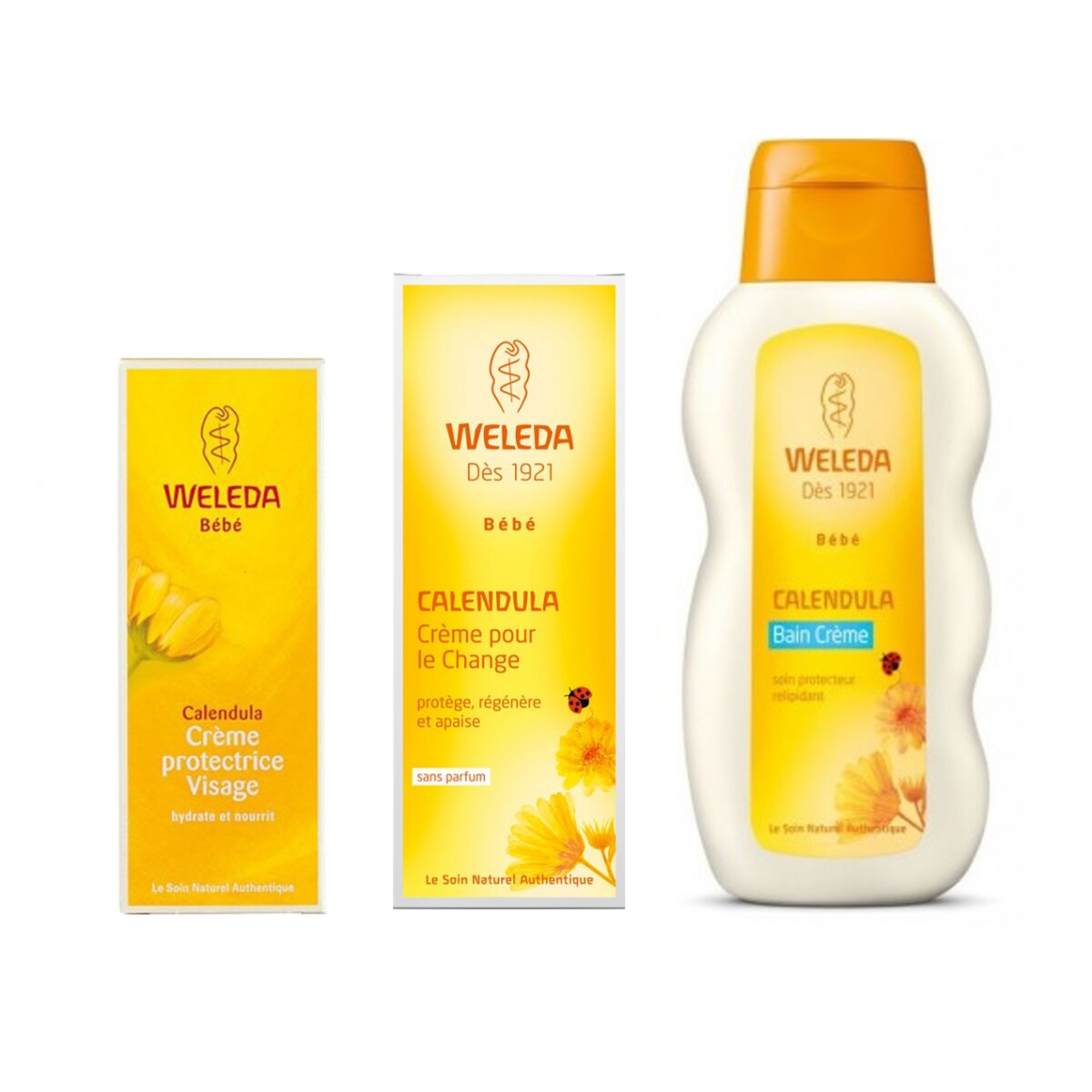 Kit Weleda Sebio Kadolog