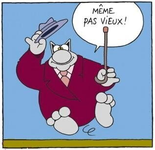 Les 40 Ans De Niko Kadolog