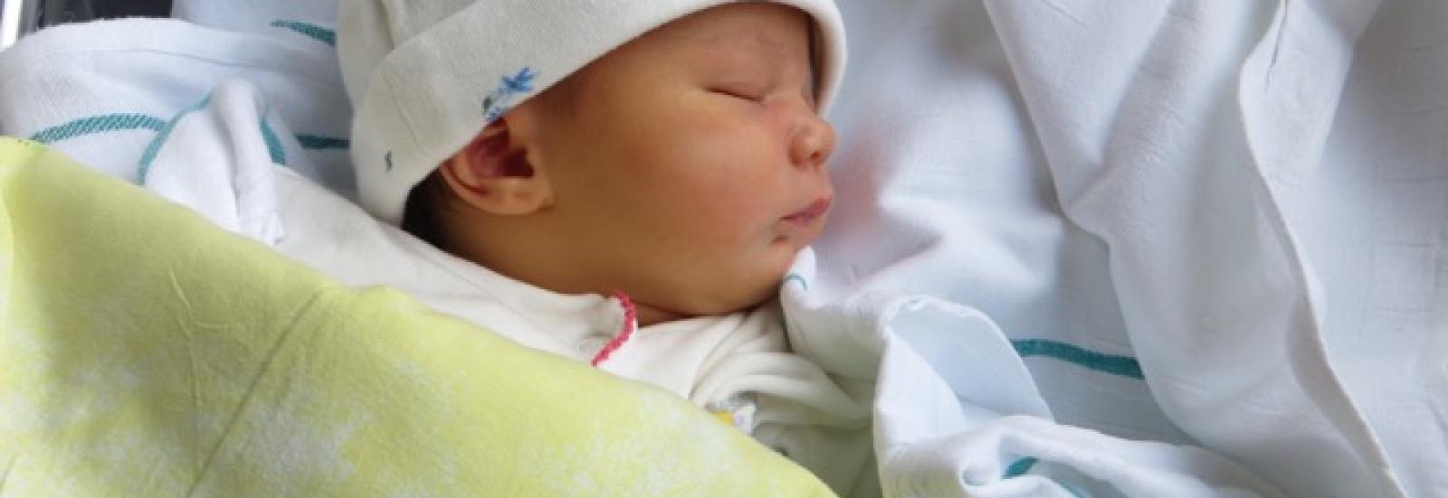 Porte bebe hotsell loopix