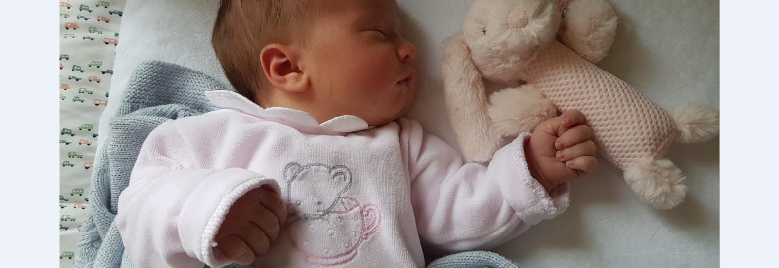 Parc pour bébé au meilleur prix chez Babylux